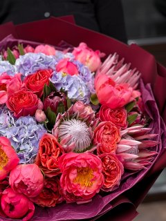 CRIMSON ÉLITE BLOOM - Зображення 2