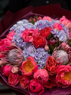 CRIMSON ÉLITE BLOOM - Зображення 3