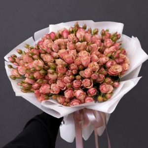 VELVET BLUSH SYMPHONY