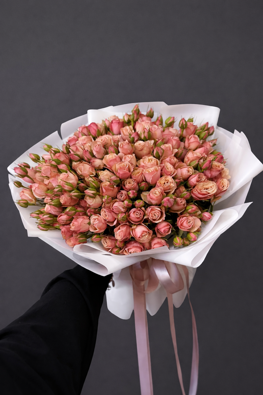 VELVET BLUSH SYMPHONY