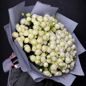 SOFT PURITY. PERFECT FORM.