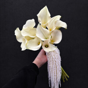 WHITE CALLA ÉLÉGANCE