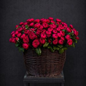 CRIMSON ROYAL GARDEN
