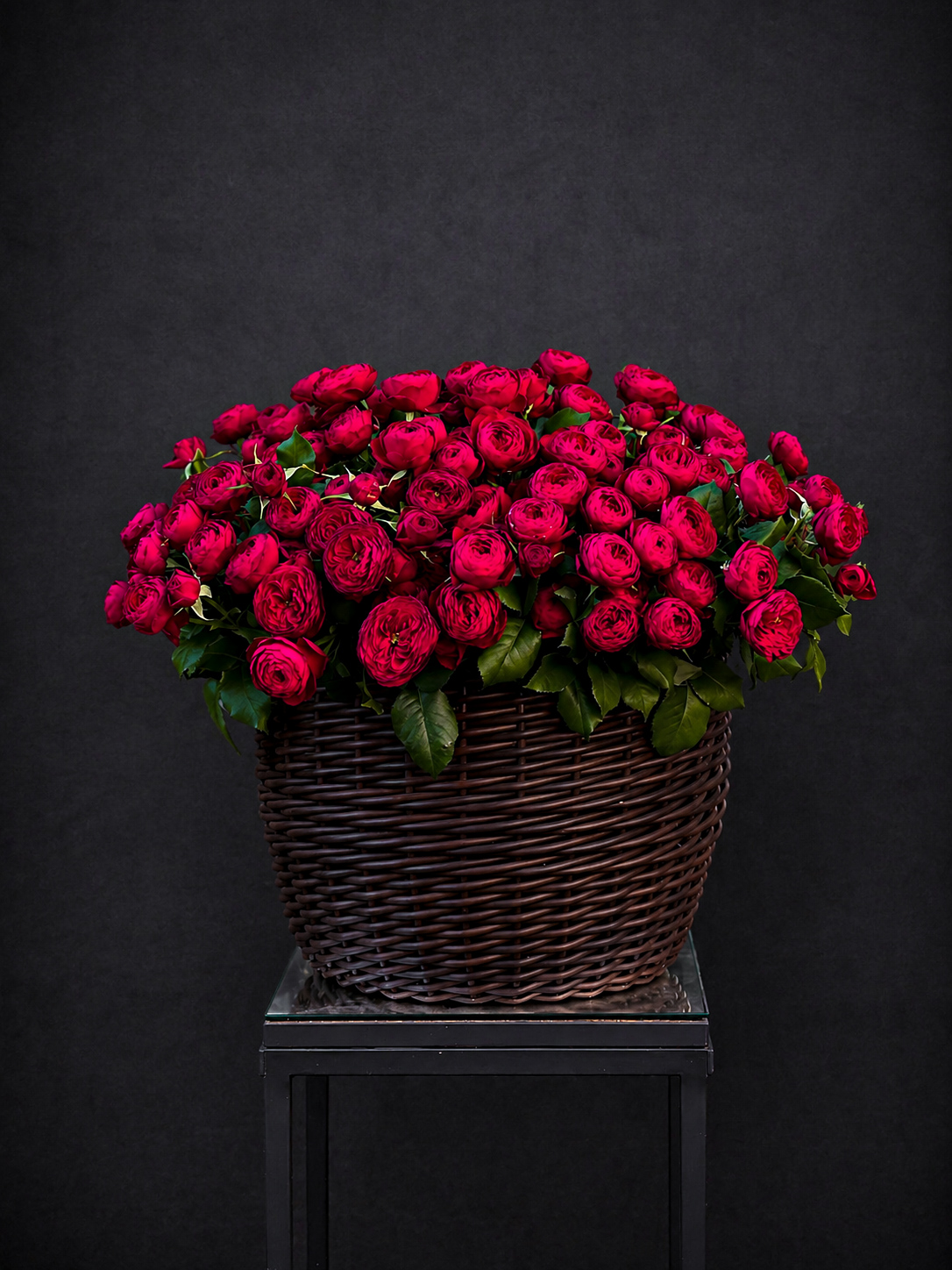 CRIMSON ROYAL GARDEN