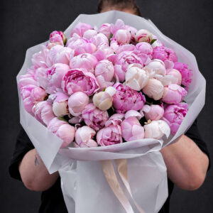 SARAH BERNHARDT PEONY - 51 PEONIES