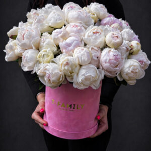 PEONY BLUSH BOX - 51 PEONIES