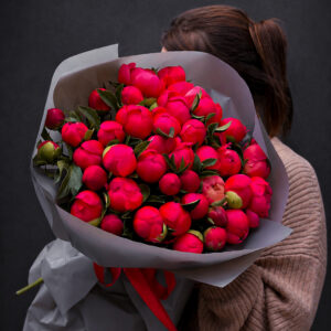 CORAL CHARM PEONY - 51 PEONIES