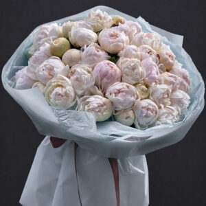 BLUSH PEONY SIGNATURE - 51 PEONIES