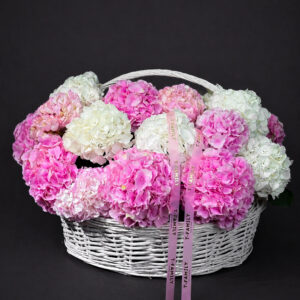HYDRANGEA ROYAL BASKET