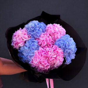 COTTON CANDY HYDRANGEA