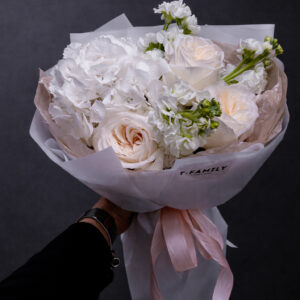 WHISPER OF ELEGANCE