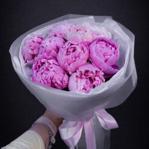 PEONY BLUSH