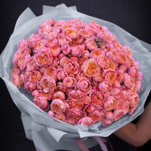 CORAL BLOOM CLOUD