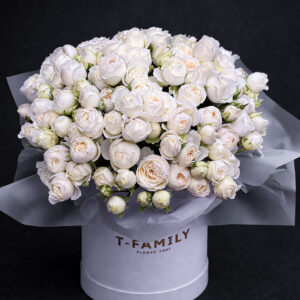 IVORY SIGNATURE