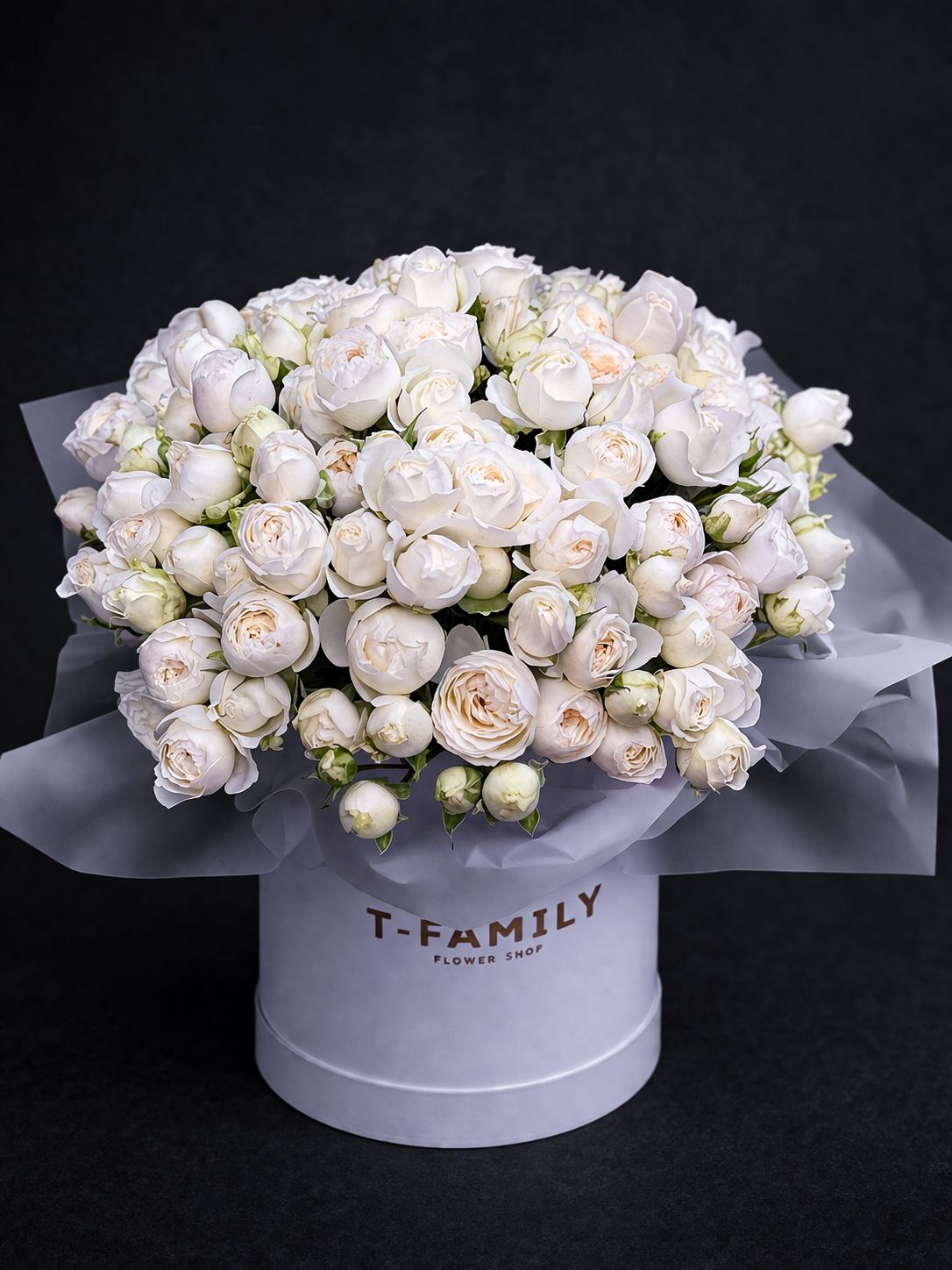 IVORY SIGNATURE