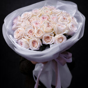 WHITE O’HARA ELEGANCE