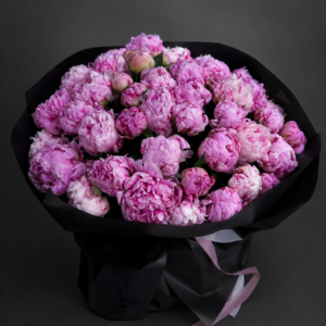 PINK SARAH BERNHARDT - 39 PEONIES