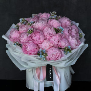 PINK POETRY