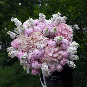 MAISON BLUSH