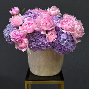 LAVENDER BLOSSOM