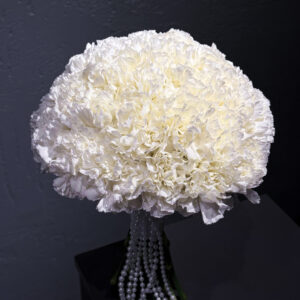 Perle Blanche