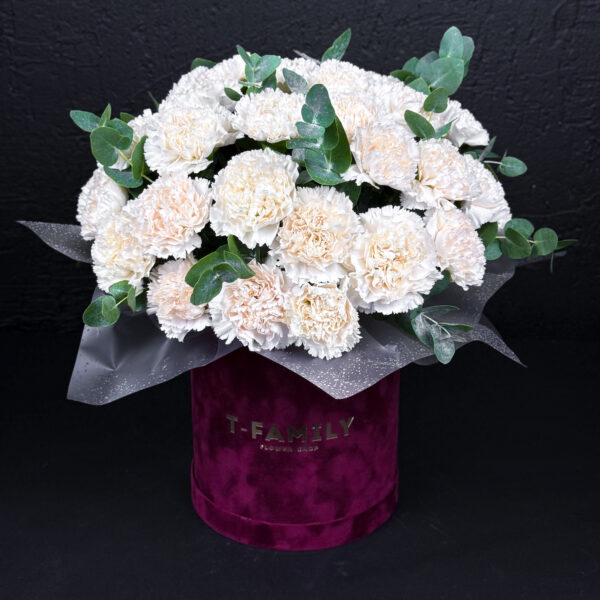 Композиція з гвоздиками IVORY VELVET в оксамитовій коробці